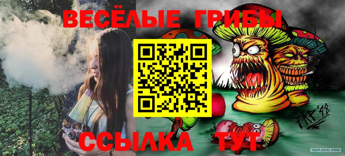 Тихорецк  Псилоцибиновые грибы ЛСД  Вход с VPN 