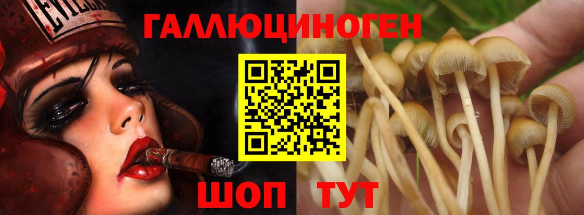 МАРИХУАНА  APVP СК кристаллы  Тихорецк  Вход с VPN  Меф МЯУ МЯУ  