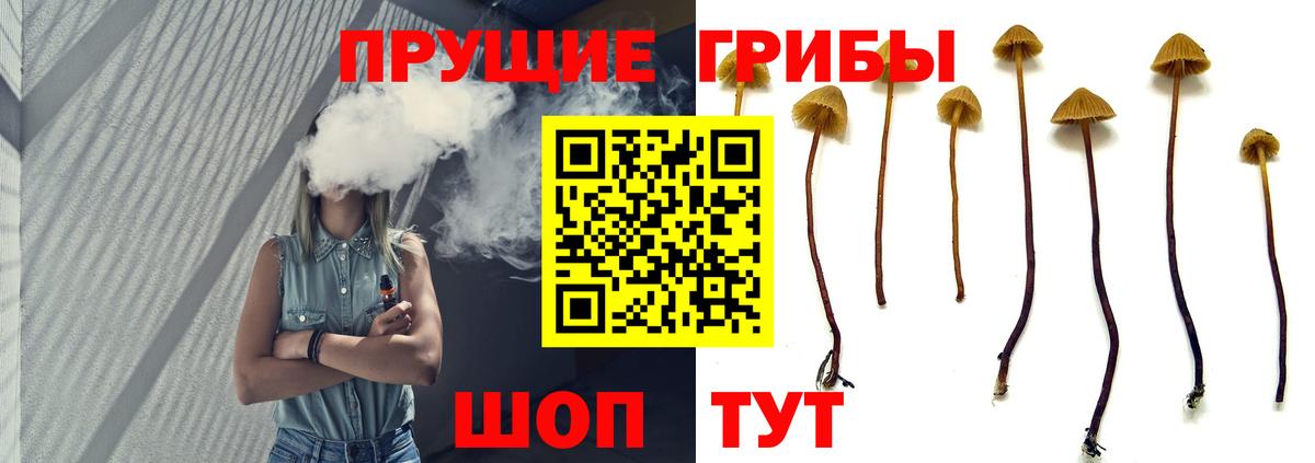 Галлюциногенные грибы Psilocybine cubensis Тихорецк